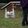 foire-haricots 2011-09-17et18